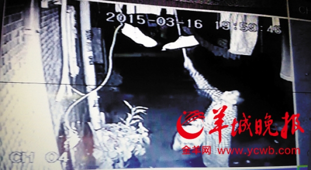 东莞市奇葩男专偷女性内衣 街坊疑有“内衣盗窃团伙”