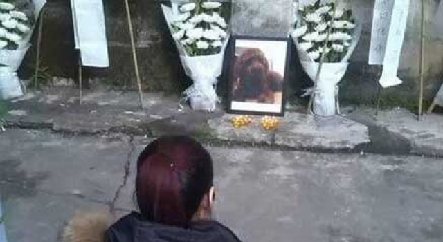 女子爱犬被害死 工业园内摆数十花圈悼念 诅咒凶手