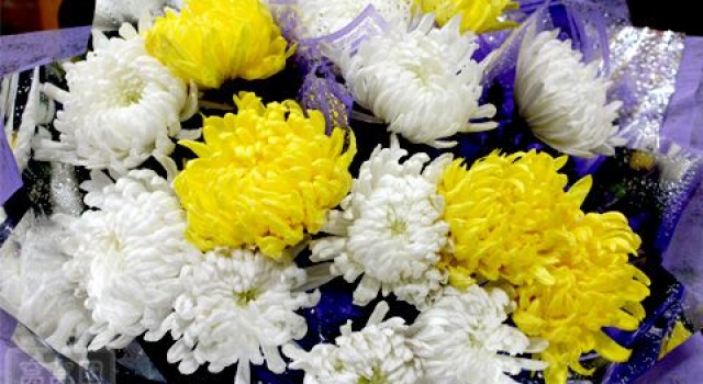 清明节鲜花祭祀托真情 既环保又安全