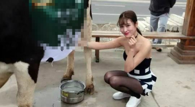 "挤奶妹"清凉装扮北京小区前当众挤奶 一盒8元供不应求