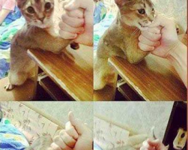 �Ҳ��Һ�����һ������������֮��ı���