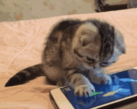 �ҵ������������й���