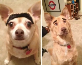 ������ü����Ҳ���б����
