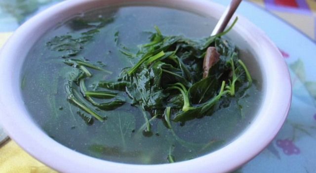 苦菜居然这么强大 清热解毒还抗癌,你一定没想到