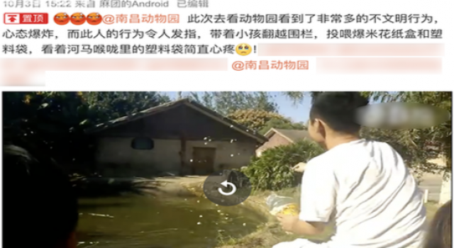 河马被喂食塑料袋怎么回事? 河马情况还好吗?