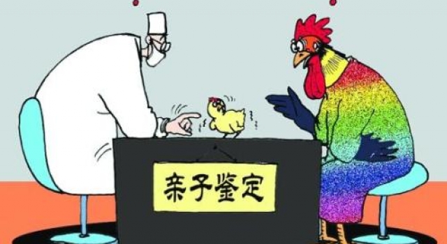 亲子鉴定师 有多少男人是婚外情出轨在外有私生子?