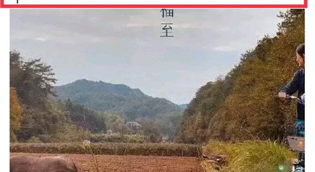 女明星都在走红毯,只有赵丽颖在村里放牛?别嘲讽,颁奖典礼见
