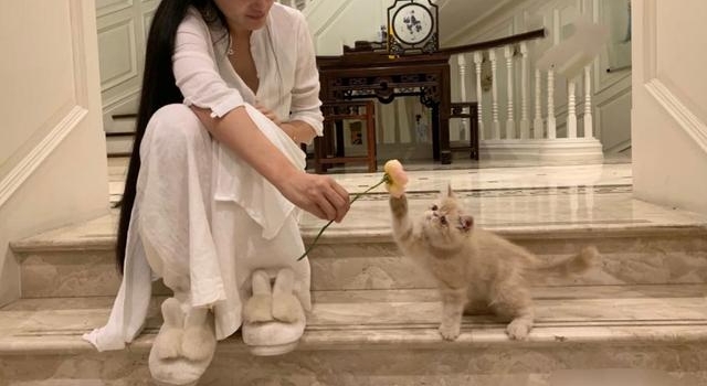张纪中娇妻秀豪宅奢华如酒店,衣着太大胆!没扣钮扣领口全敞开