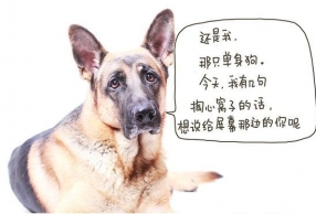 ΪҪѡУҵĹ 