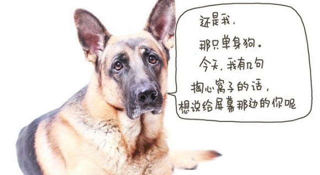 为何要选择大城市：我的狗生 你的人生