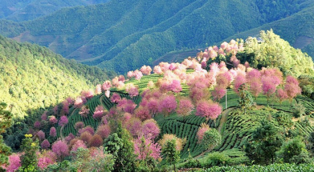 2016年春节旅游推荐：春节全家出游成为新宠