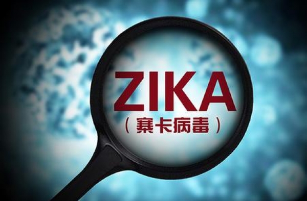 第二例寨卡病毒横行中国 寨卡病毒为何如此肆无忌惮？
