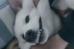 һֹ б˼ҵĹ