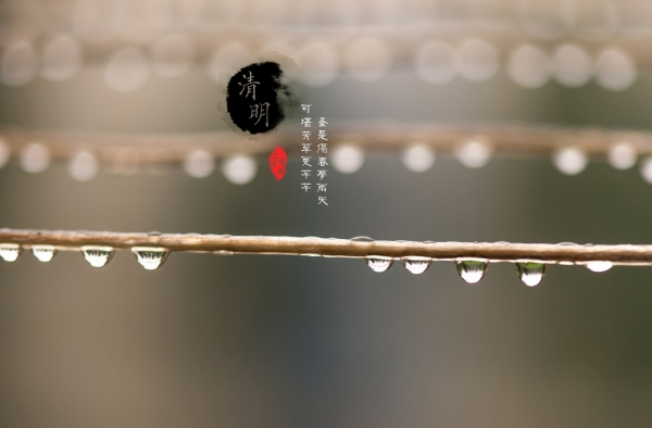 关于清明节的作文500字范文 度过一个愉快的假期