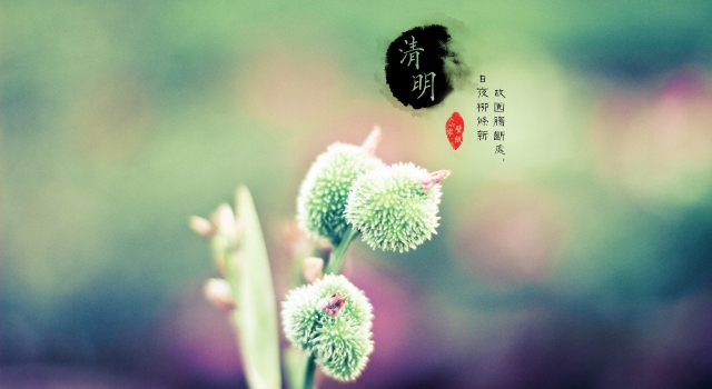 关于清明节的作文200字范文 扫墓祭祖是对祖先的尊重和思念
