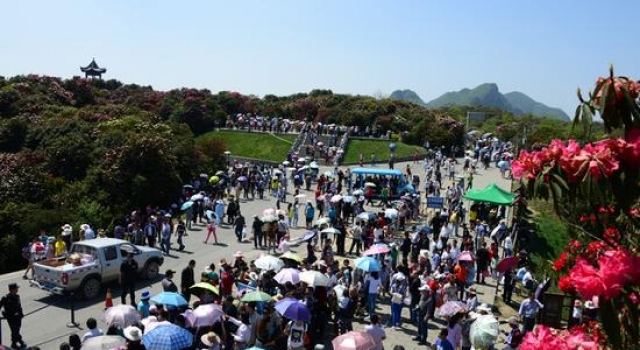今年清明节高速免费吗？ 清明出行高速或遇团雾