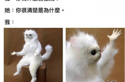 ˵õĽܳɾ 㽴ʲô˼