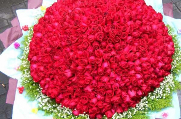 大二男生送1000朵玫瑰向女友告白 将甜蜜进行到底