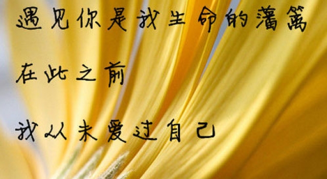 情书虽短 但情意深长