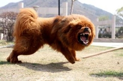 ûԱ˵˺ҧ20 