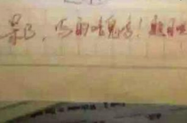 学生写作文没题目字潦草 老师给评语骂“呆B”