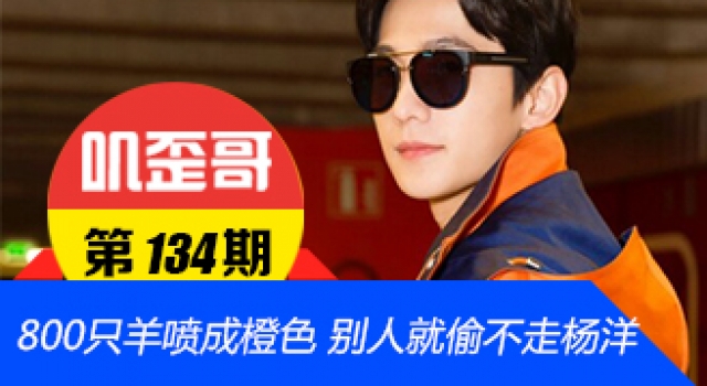 【叽歪哥 V0.134】800只羊喷成橙色 别以为就偷不走杨洋