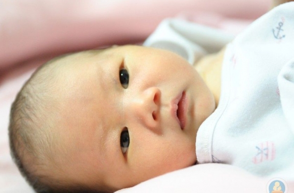 初生婴儿患上溶血病 医务人员紧急配血施救