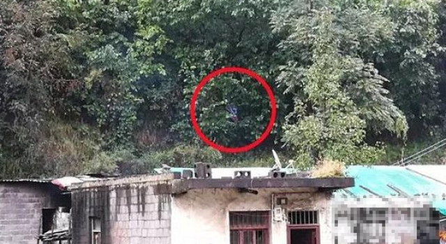 初中女生放学途中被杀害 死因：被强奸致死