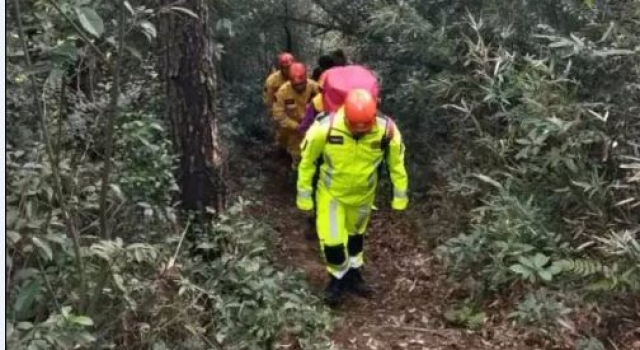 25岁新婚姑娘失踪遇害 爬山跟丈夫互动1小时突然失踪