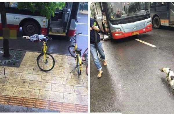 心痛！女子穿高跟鞋追公交不慎滑倒酿成悲剧