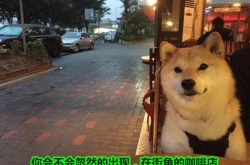 ǷȺһл Ϊʲô