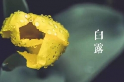 ¶ʲô˼2017¶Ǽ¼գ