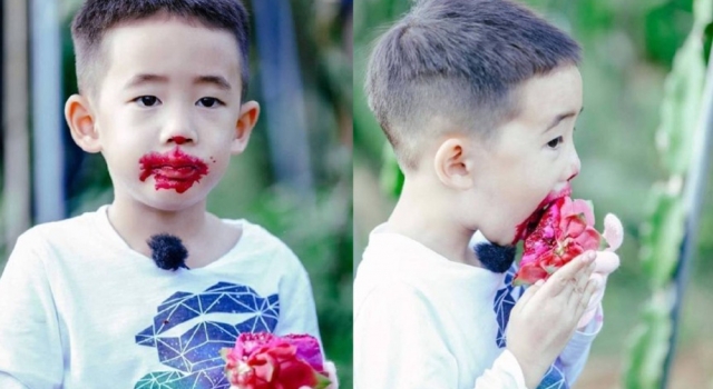 Jasper吃火龙果变脸欧阳锋 惨遭亲爹陈小春官方吐槽