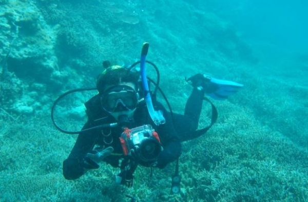 中国科学家在南海种出珊瑚 海底植树造林取得初步成绩