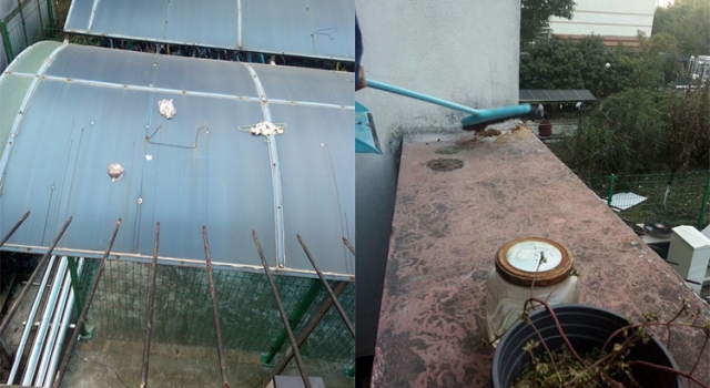 粪便空袭女寝阳台 高空抛shi真的太恶心了！