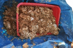 ൺں֪ רżٳԾҪ
