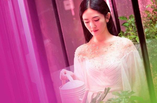 孕妈谢娜宅家做手工或赞赏 网友直呼娜姐可以再开副业