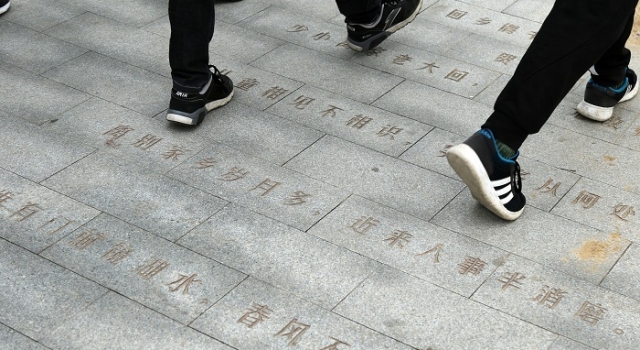 高校人行道路面刻65首诗词 网友调侃每块砖都有学问