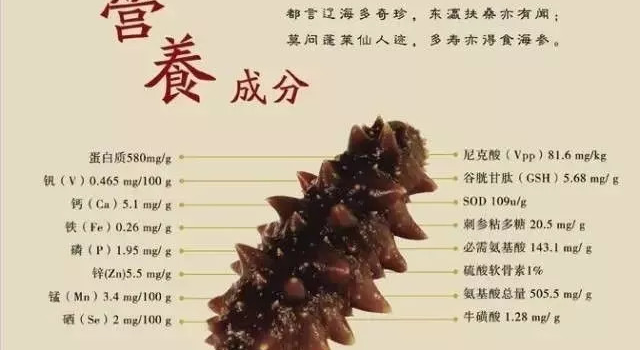 都说海参健康养生功效大，吃海参真的有用吗？