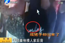 ��������ҪΪ��ͳ�Ļ�����ǰ�� �������ϻ�Ҫ��������