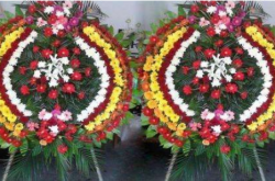 ���������¹�  �涨�����ްڻ�Ȧ����5��