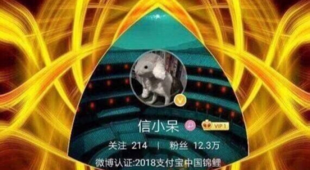 信小呆锦鲤附体 锦鲤附体的经历 只有努力的得来的幸运才是最好的