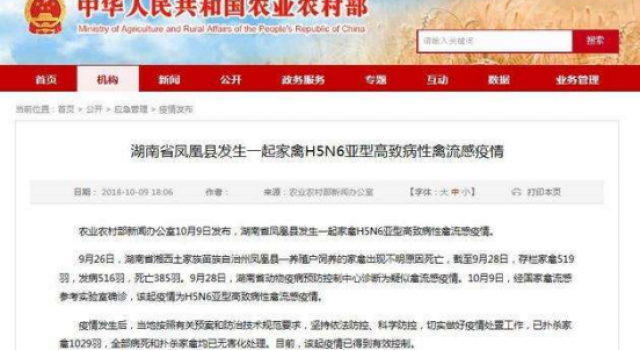 湖南凤凰禽流感已确诊 亏损较大 但疫情得到控制