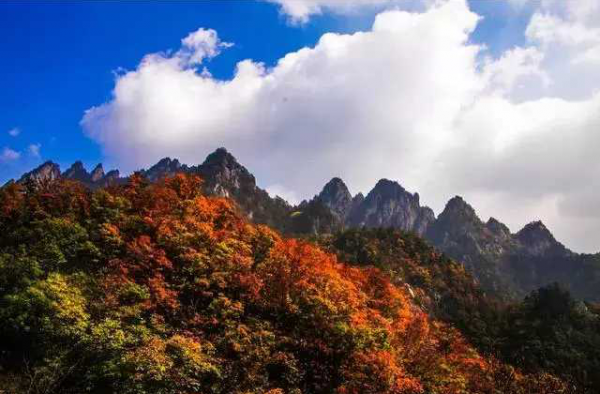 秋季最美的五条自驾路线 让你看遍绝美秋色