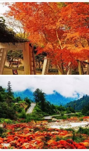 秋季旅行爬山的好地点 自驾爬山走起来吧