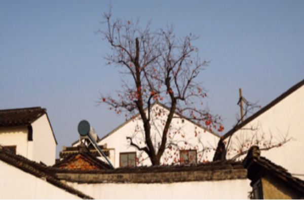 你不可错过的旅游胜地 人间天堂苏州旅游攻略