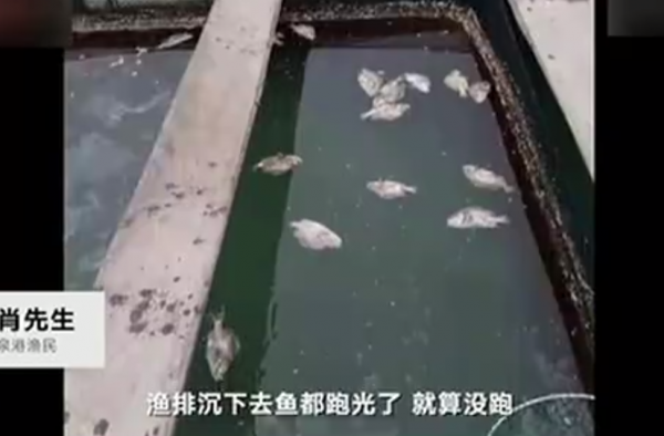 碳九泄露事故认定怎么回事？涉事人员如何处置？
