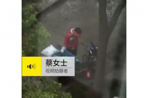 ϺС籩ô£޵ԭǣ