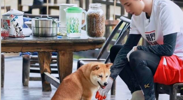 张继科把盆带走是什么梗？和景甜分手风波已过？
