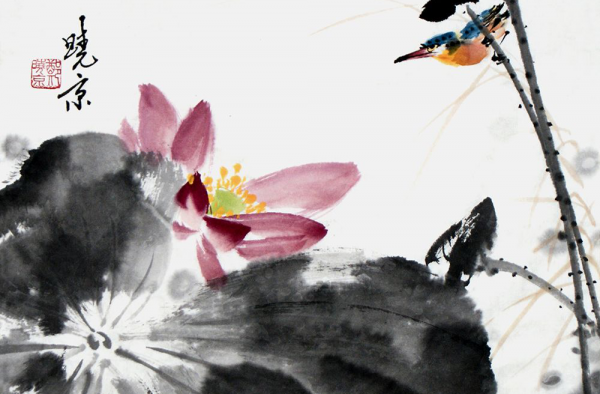 荷花画家郑晓京
